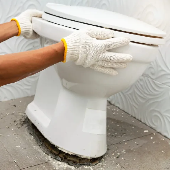 professional-toilet-installation-welland